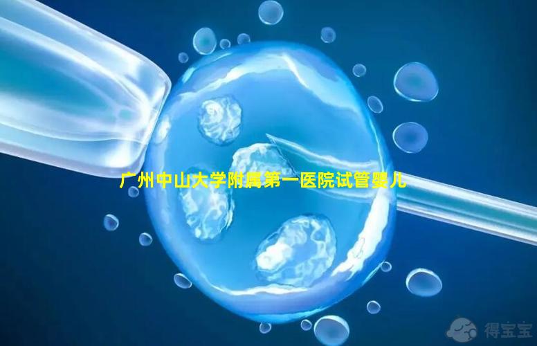 广州中山大学附属第一医院试管婴儿